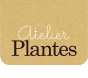 Plantes