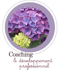 Ateliers coaching