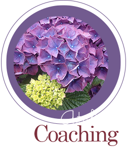 Coaching - Présentation